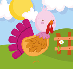turkey flower wooden fence sun farm animal cartoon