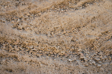 Elements that the sea drags to the beaches