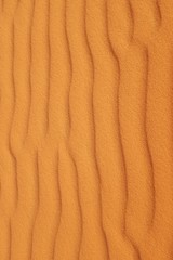 Fototapeta na wymiar Bright orange desert sand ripples for a warm summer background