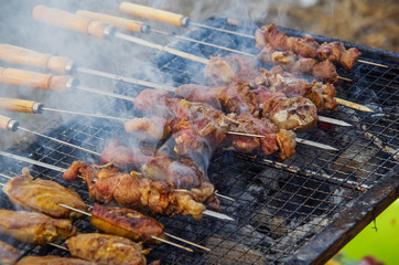 Delicious outdoor roast chicken wings and lamb