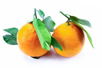 deux clémentines sur un fond blanc