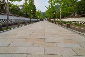 Obraz premium 津和野 殿町通り