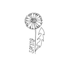 Dandelion flower. Illustration drawn by a liner with handwritten inscription "Spring"