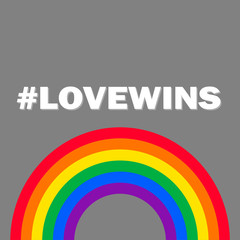 Vector rainbow background - love wins. LGBT world pride day.