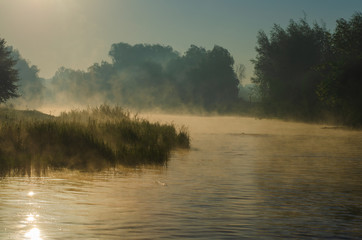 Morning on the river early morning reeds mist fog and water surface on the river.