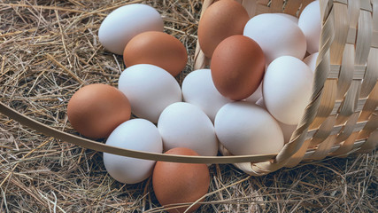 a lot of fresh chicken eggs in a straw basket on a background of hay. Healthy eating concept