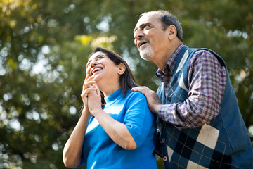 Fototapeta premium Senior couple admiring something at far end in park