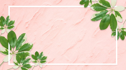 green leaves tree on bright pink pastel background, wall texture background pre wedding. banner valentine day.