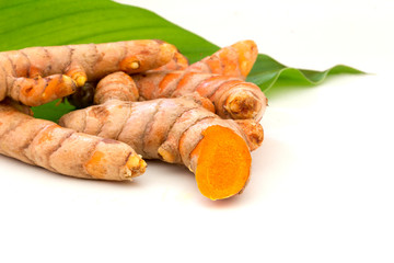 raw organic  turmeric roots with green leaves