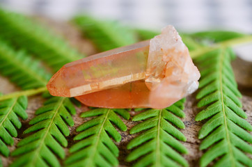 Beautiful quartz cluster, tangerine quartz. Orange healing crystal on display, bohemian vibes, minimalism witchcraft. Small crystal cluster, natural lighting, whimsical backdrop. Witchy aestetic 