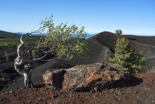 Windy landscape of Monti Sartorius mount in the Etna natural park, Sicily, Italy