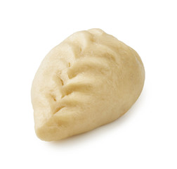 Pyance dumpling isolated on white background. Asian street food. Korean delicious steamed dumpling.