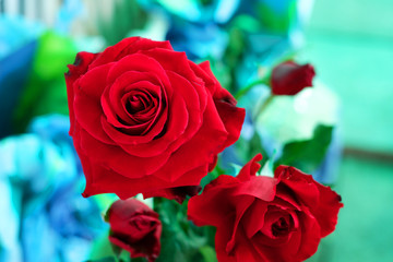 Fototapeta na wymiar Red roses on blur background