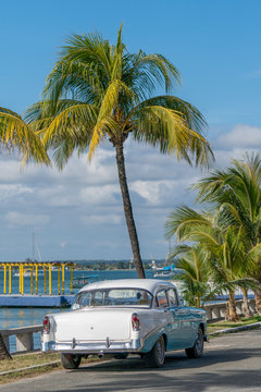 baby-blue classic cuban car on a road next to the sea with palm trees