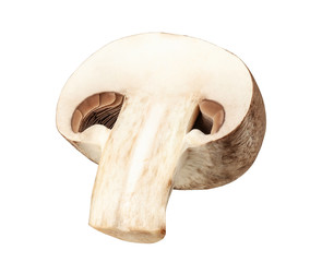 One fresh mushroom champignon cut in half isolated on white background with clipping path