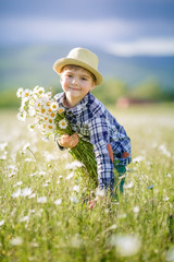 A boy in a hat in a meadow with green grass collects wildflowers.