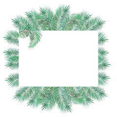 frame of palm branches on a white background for design