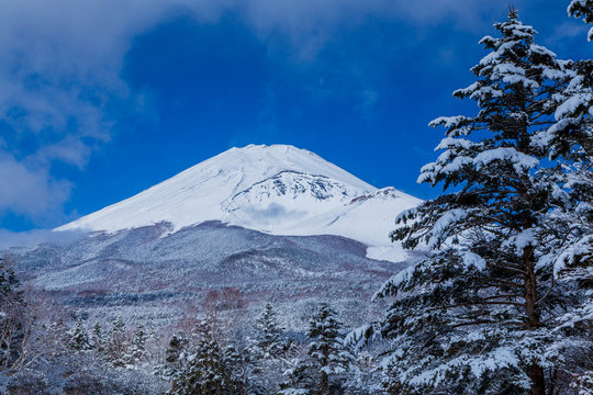 18 Best 宝永山火口images Stock Photos Vectors Adobe Stock 18 Best 宝永山火口images Stock Photos Vectors Adobe Stock