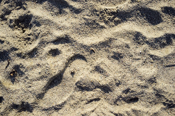 Top view of footprint in the sand