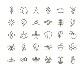 forest foliage ecology nature line design icons set