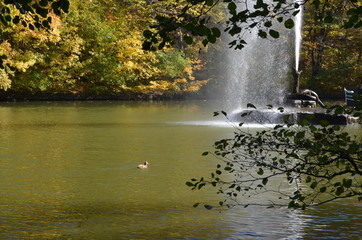 river in autumn Sofievsky park in Uman