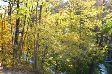 Autumn trees in the Sofievsky arboretum of Uman