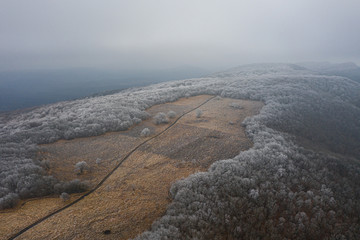 Glade on the mountain