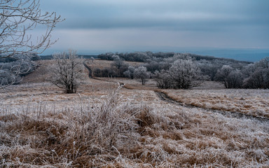 glade in the frost