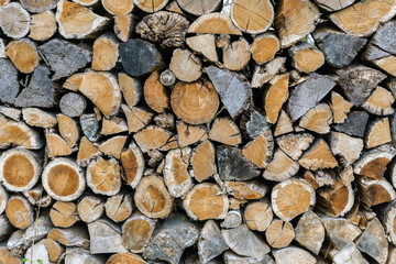 stacked wood in the black forest