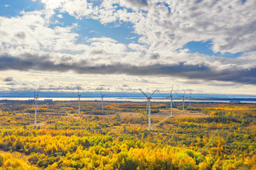Obraz premium The Windmills park of Paldiski. Wind turbine farm near Baltic sea. Autumn landscape with windmills, orange forest and blue sky. Pakri peninsula, Estonia, Europe.