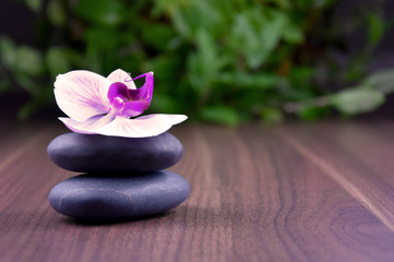 Fototapeta na wymiar Massage stones with orchid stock images. Spa and wellness setting stock images. Pile of black stones. Black stones on a wooden background. Spa-concept with zen stones and orchid flower stock images