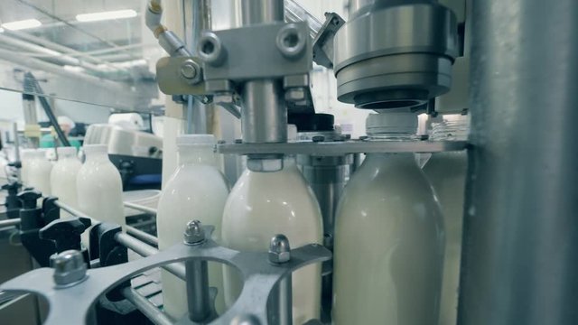 Plant machine is binding caps on milk bottles