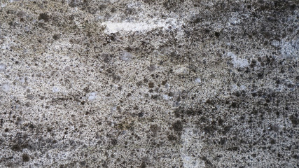 Dirty and Old cement wall texture background. Weathered rusty metal abstract texture. Grunge background with peeling paint ( Wall texture can be used as a wall frame and wall background )