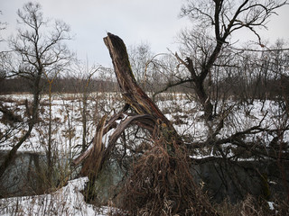 Spring landscape with river, ice and snow on the banks