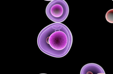 Embryonic Stem Cells Cellular-Therapy Regeneration