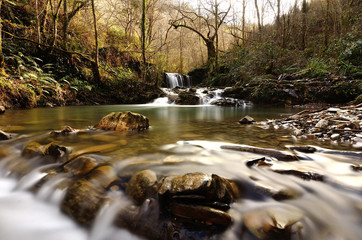 stream in autumn