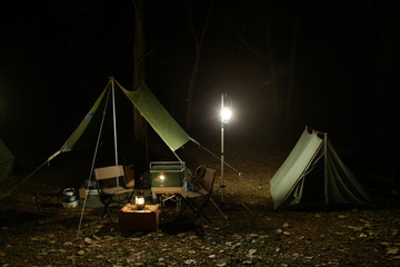 night camping in forest