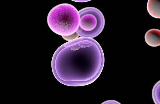 Embryonic Stem Cells Cellular-Therapy Regeneration