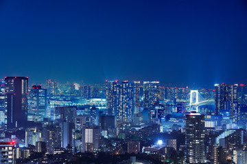 Fototapeta premium 光が溢れる東京の夜景