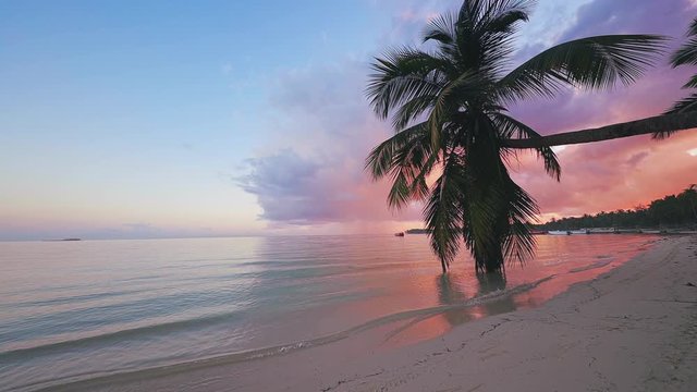 Sunrise over tropical island beach and palm trees. Punta Cana, Dominican Republic.