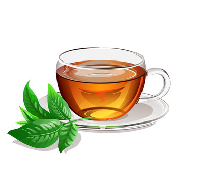 Black tea in a glass cup with green leaf of tea. Vector illustration.