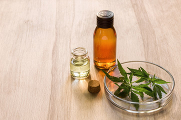 Cannabis green leaf in Petri dish and water hemp oil in bottle on wooden table background