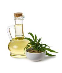 Hemp oil isolated. Sativa plant seed oil in glass bottle and fresh green cannabis leaf on white background