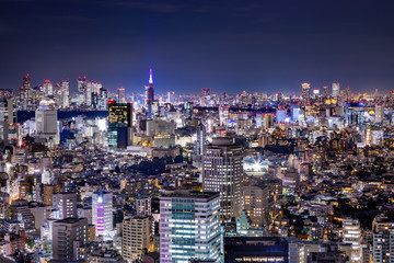 光が溢れる東京の夜景