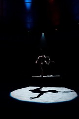 silhouette of aerial acrobat performing on rope in circus © LIGHTFIELD STUDIOS