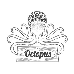 Octopus isolated on white. Art. Vector illustration.