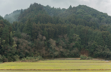 田舎暮らし