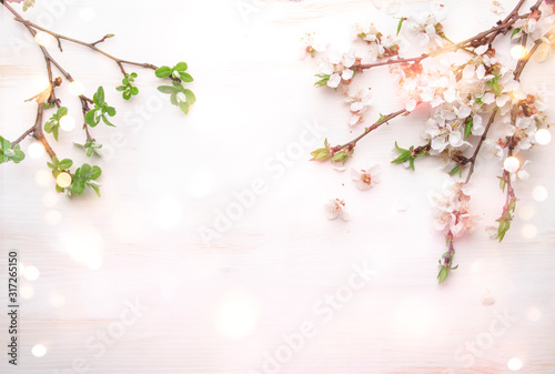 Spring flowers. Apricot flowers on white wooden background. Flat lay, top view.