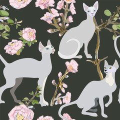 Three gray siamese or sphinx cats in sakura flowers on a black background seamless vector illustration. Felis catus. Image of a silhouette of a bald and hairless cat. Endless pattern.