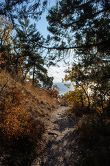 road to the sea on the sea coast in Sunny weather in autumn